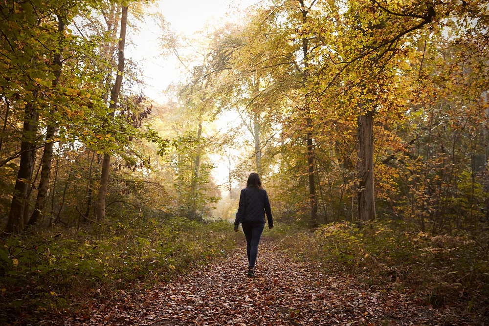 Knoydart in a nutshell walk