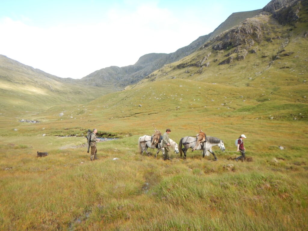 Deer Stalking Volunteers 