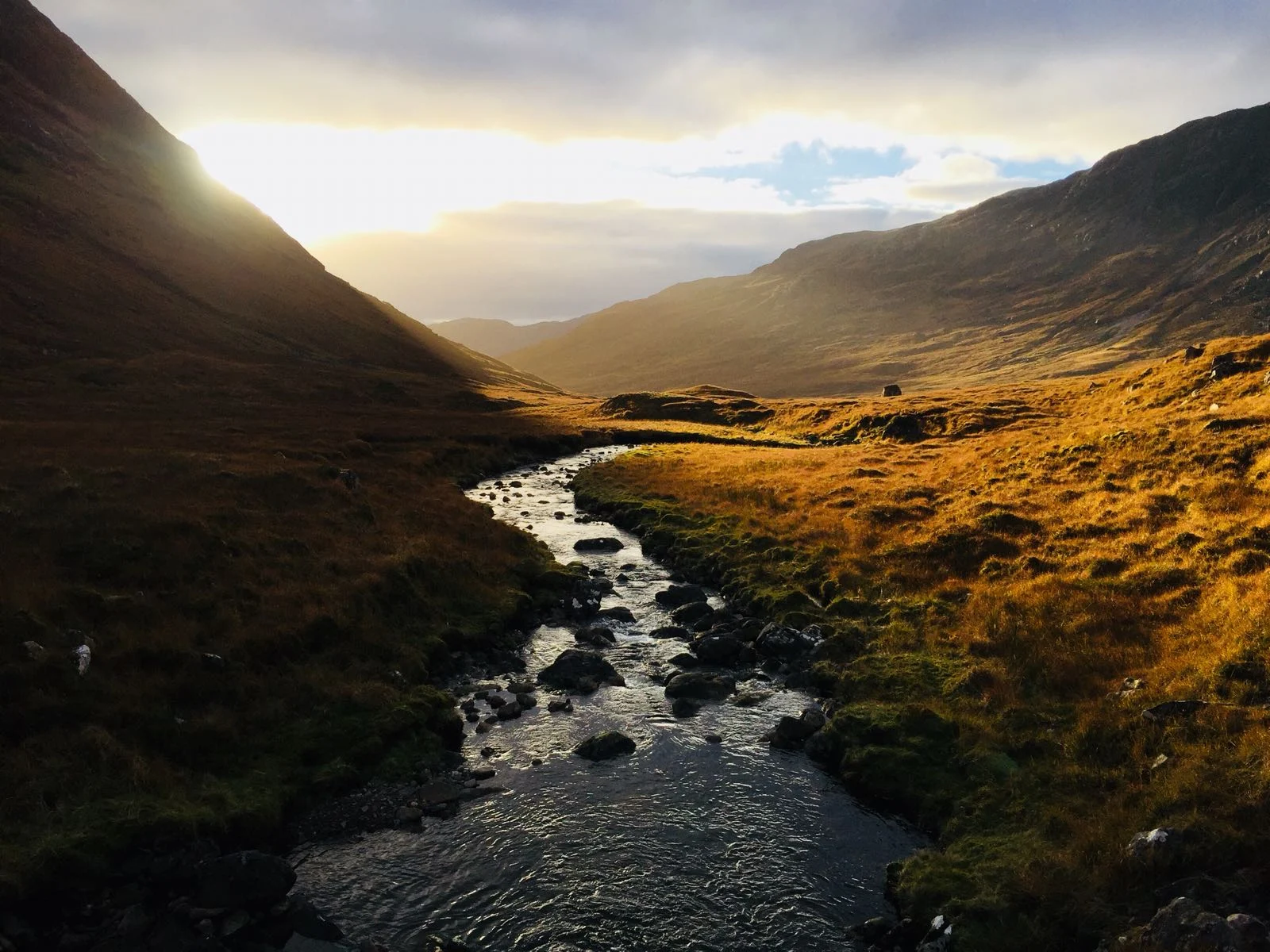 Peatland Restoration Knoydart